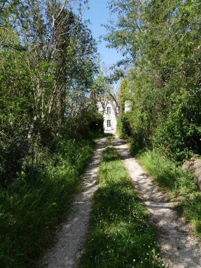 Le Charme D'Une Vieille Bastide Provencale Solliès-Pont Exterior foto